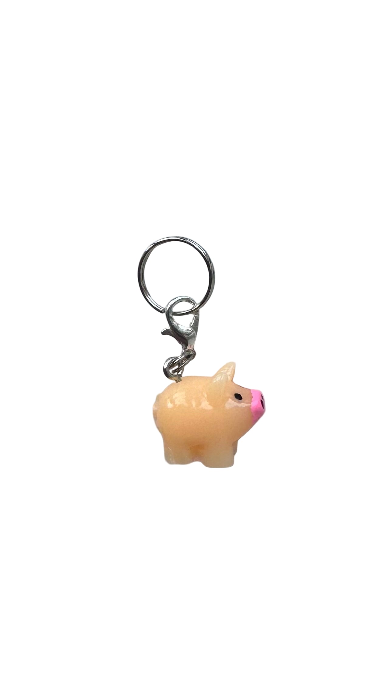 3D Little pig