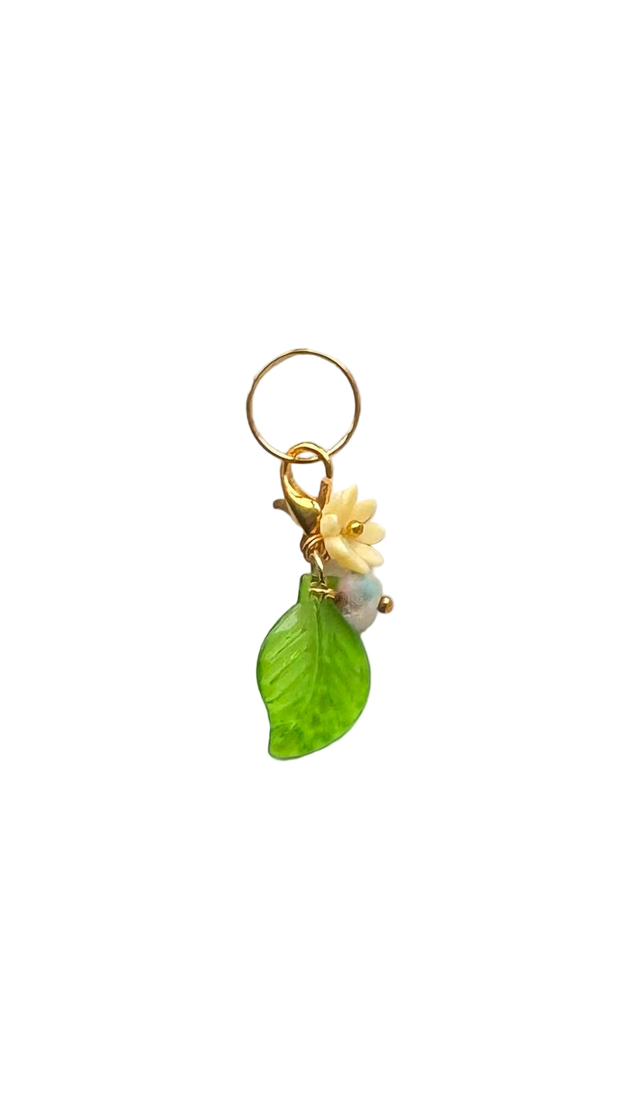 Green leaf with yellow flower and small stone