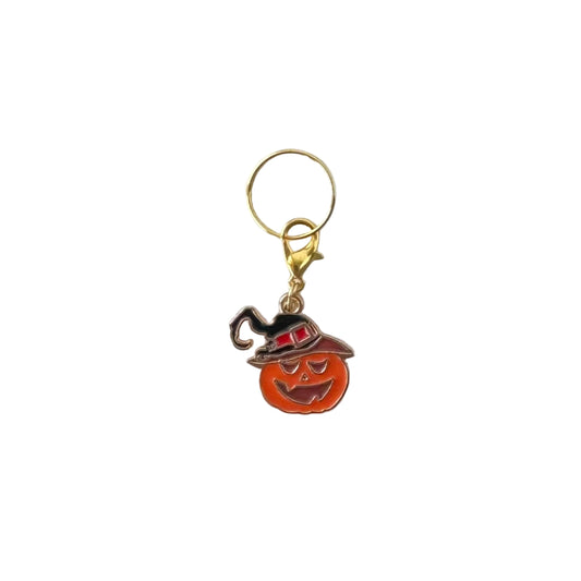 Pumpkin wearing a witches hat