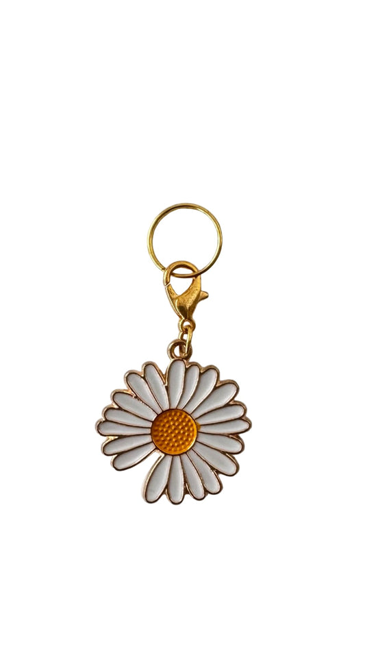 White daisy